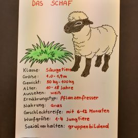 Säugetiere der 2B