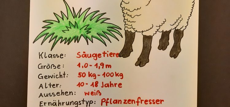 Säugetiere der 2B