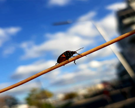 Fotoprojekt 4B