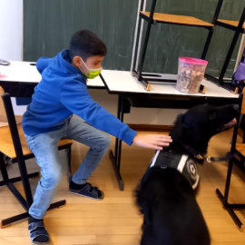 Hundebesuch in der 1B