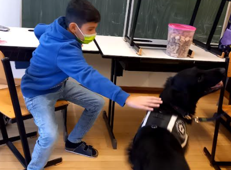 Hundebesuch in der 1B