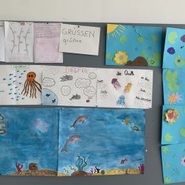 Der Ozean und seine Bewohner in der Deutschklasse
