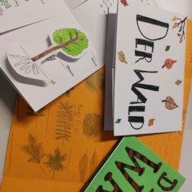 Biologie Lapbooks der 2b