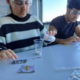 Chemie Workshop der 4a