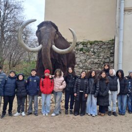 Lehrausgang der 2a zum Mamuz nach Asparn/Zaya